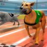 3D Dog Racing Simulator