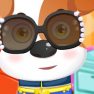 Pet Dog Care