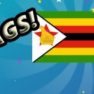 Guess the Flag