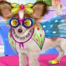 Papillon Puppy Care