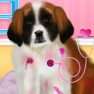 St Bernard Puppy Day Care