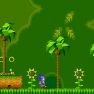 Sonic Extremo