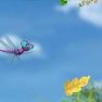 Miss Spider’s Dragonfly Derby