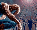 Homem Aranha na Web