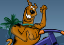 Scooby Shadow Race