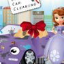Sofias new car cleaning