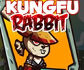 Kungfu Rabbit
