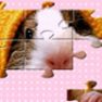 Animal Puzzle