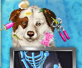 Dog Pet Rescue