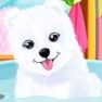 Fluffy Puppy Care