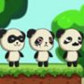 Panda Shock Troop