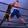 Ultimate Boxing