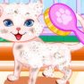 Puppy And Kitty Salon