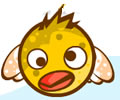 Rolly Birds