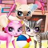 Kitty Pet Care Salon